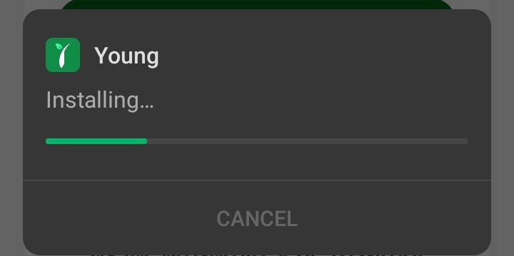 Wait for installation